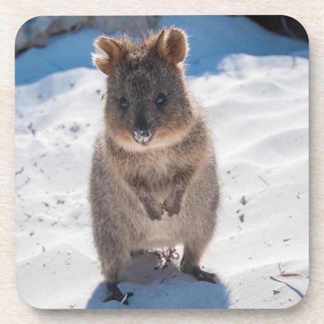 Porta-copo Quokka bonitinho e feliz na praia da Austrália (Frente)