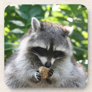 Porta-copo Raccoon 004