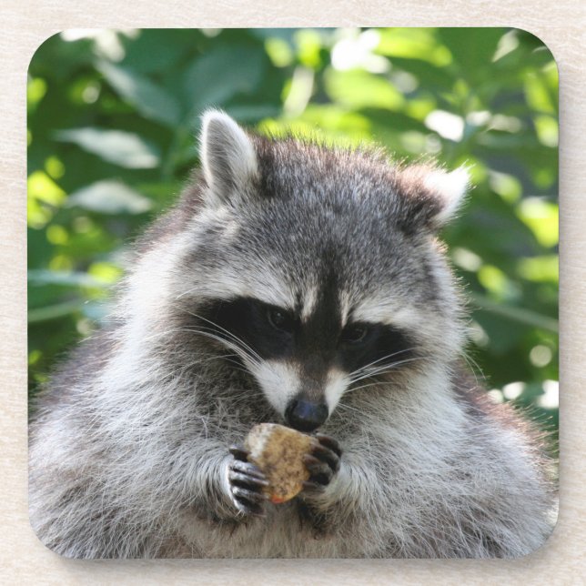 Porta-copo Raccoon 004 (Frente)