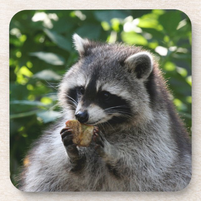 Porta-copo Raccoon_2015_0116 (Frente)