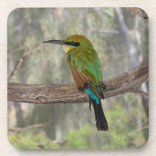 Porta-copo Rainbow bee eater bird, Austrália