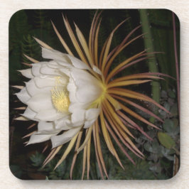 Porta-copo Rainha da NIght