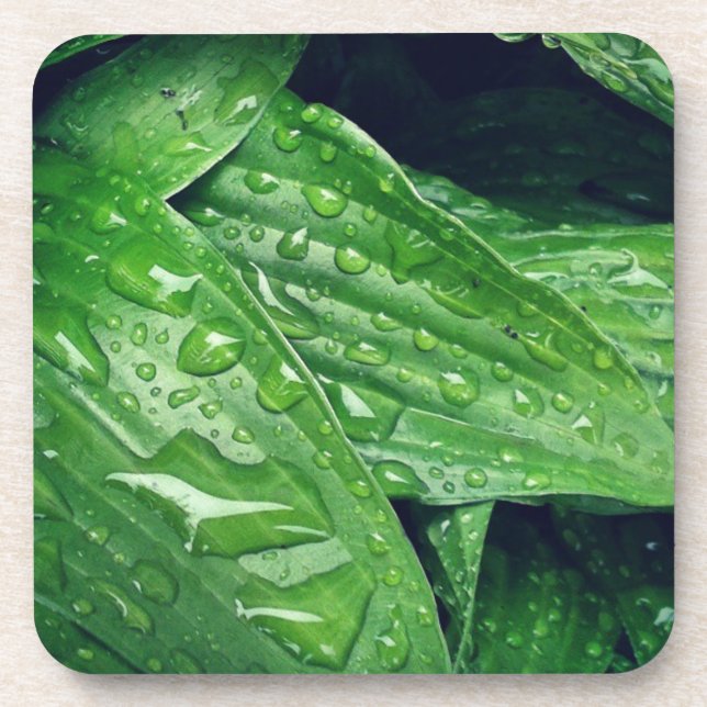 Porta-copo Rainy Day Hosta Folaves (Frente)
