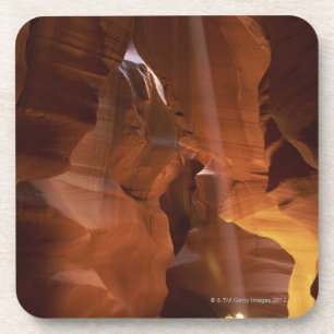 Porta-copo Raio de sol que bate o amaranto no assoalho da