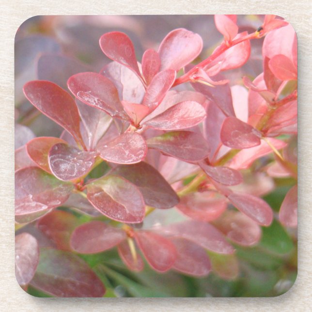 Porta-copo Ramificações bonito rosa (Frente)