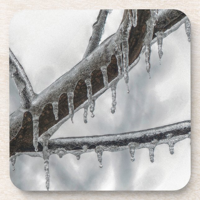 Porta-copo Ramo de Icy (Frente)
