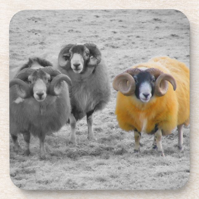 Porta-copo Rams escoceses (Frente)