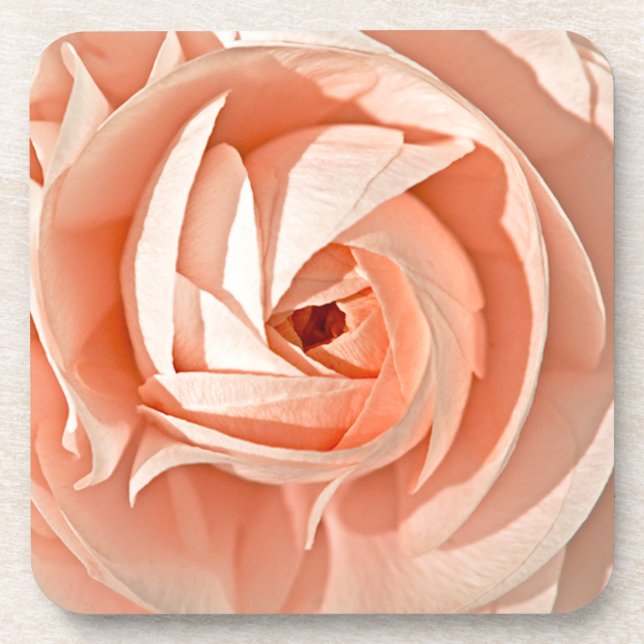 Porta-copo Ranunculus Swirl (Frente)
