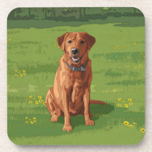 Porta-copo Raposa Vermelha Amarelo Labrador Cão de Retriever