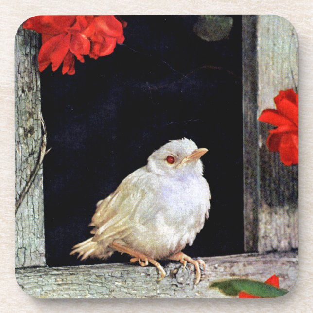 Porta-copo RARE albino robin (Frente)