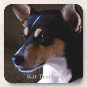 Porta-copo Rato Terrier