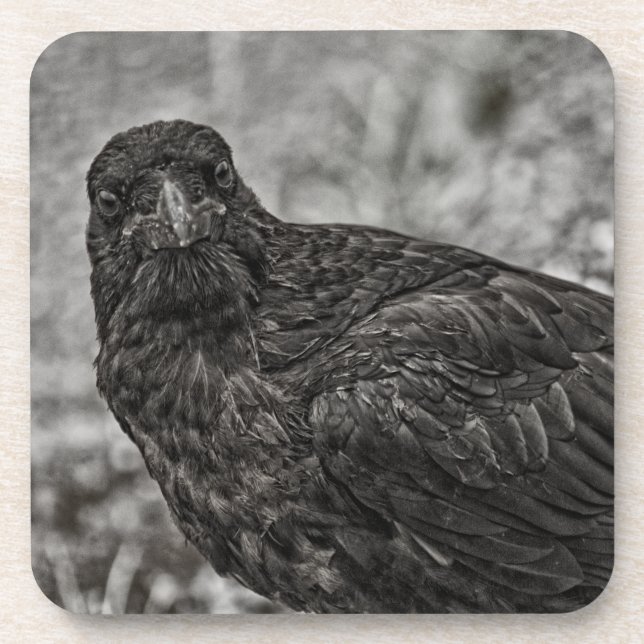 Porta-copo Raven P9239 (Frente)