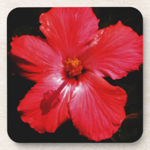 Porta-copo Red Hibiscus