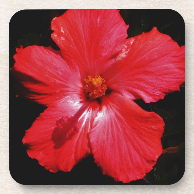 Porta-copo Red Hibiscus (Frente)