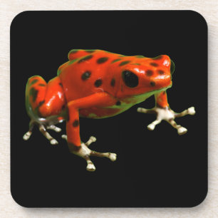 Porta-copo Red Poison Dart Frog