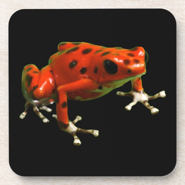 Porta-copo Red Poison Dart Frog (Frente)