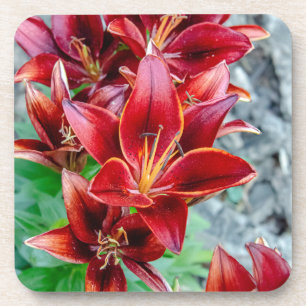 Porta-copo Red Stargazer Lily