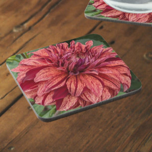 Porta-copo Red Varieged Dahlia Bloom Floral
