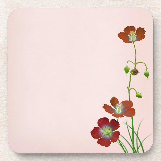 Porta-copo Red Wildflower (Frente)