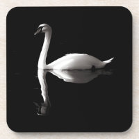 Reflexão Do Cisne Branco Elegante No Lago Negro