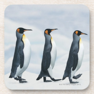 Porta-copo Rei pinguins que andam no único arquivo