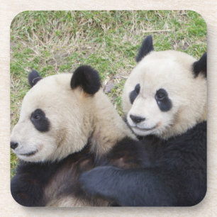 Porta-copo Reserva de Wolong, China, aperto da panda gigante