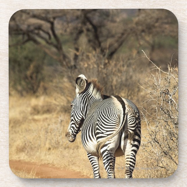 Porta-copo Reserva nacional de Samburu, Kenya (Frente)