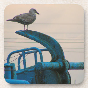 Porta-copo Restos da gaivota na âncora do navio   Choshi