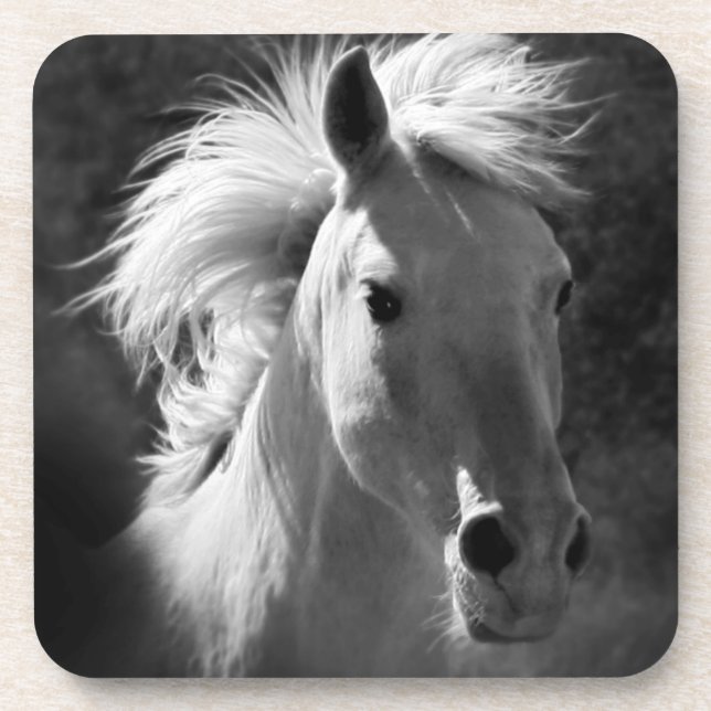 Porta-copo Retrato Cavalo V (Frente)