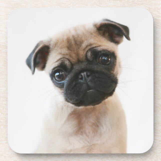 Porta-copo Retrato de Baby Pug (Frente)