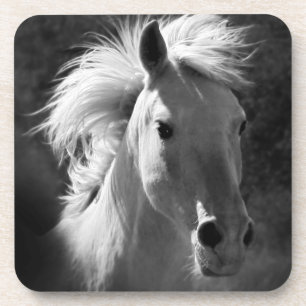 Porta-copo Retrato de Cavalo V