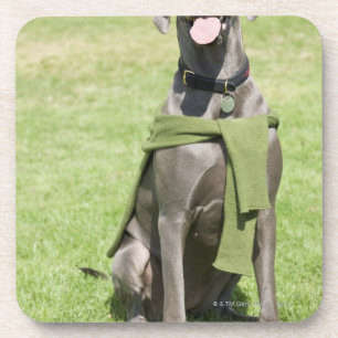 Porta-copo Retrato de great dane azul