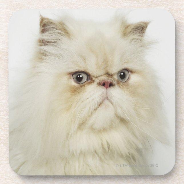 Porta-copo Retrato de um gato persa (Frente)