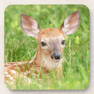 Porta-copo Retrato de uma Fawn (veado branco)
