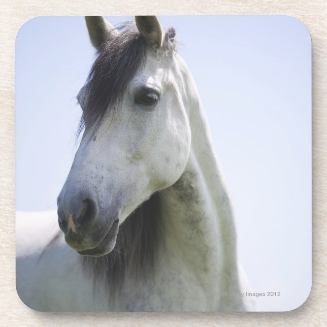 Porta-copo retrato do cavalo branco (Frente)