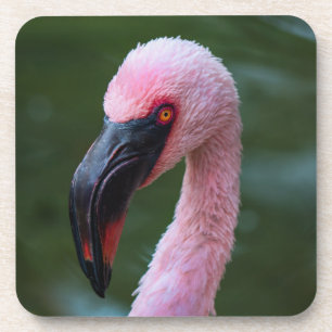 Porta-copo Retrato Flamingo Vibrante - Fotografia de pássaro