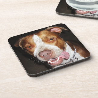 Porta-copo Retrato parvo de Pitbull