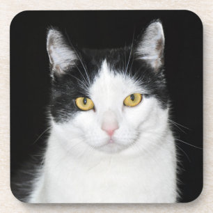 Porta-copo Retrato preto e branco do gato