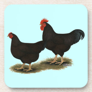 Porta-copo Rhode Island Red Bantams