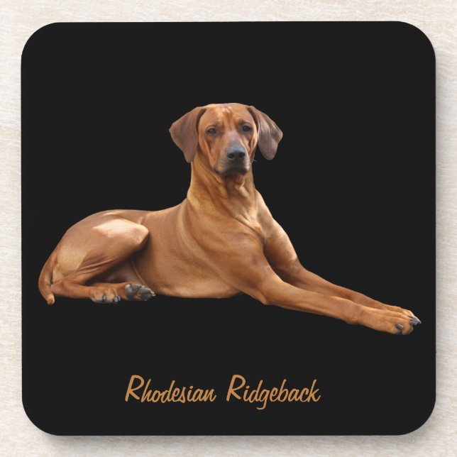 Porta-copo Rhodesian Ridgeback onderzetters (set van 6 stuks) (Frente)