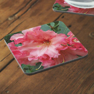 Porta-copo Rhododendron Bloom Rosa Floral