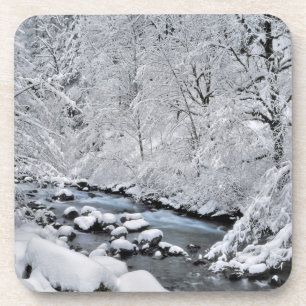 Porta-copo Ribeirão branco nevado cênico, Oregon