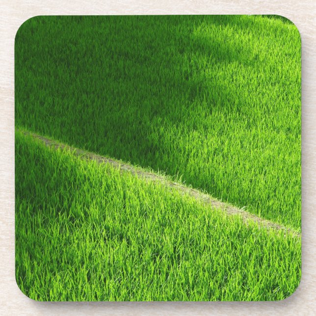 Porta-copo Rice Terraces Yamada's Rice Fields Japão (Frente)