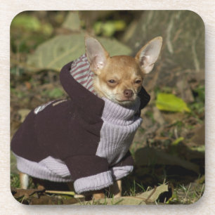 Porta-copo Rico Chihuahua