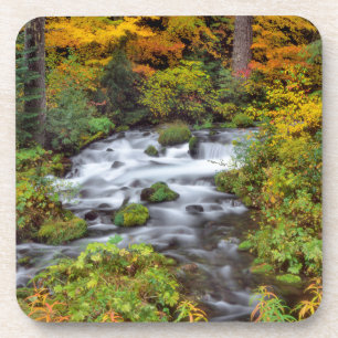 Porta-copo Rio através de floresta, outono, Oregon