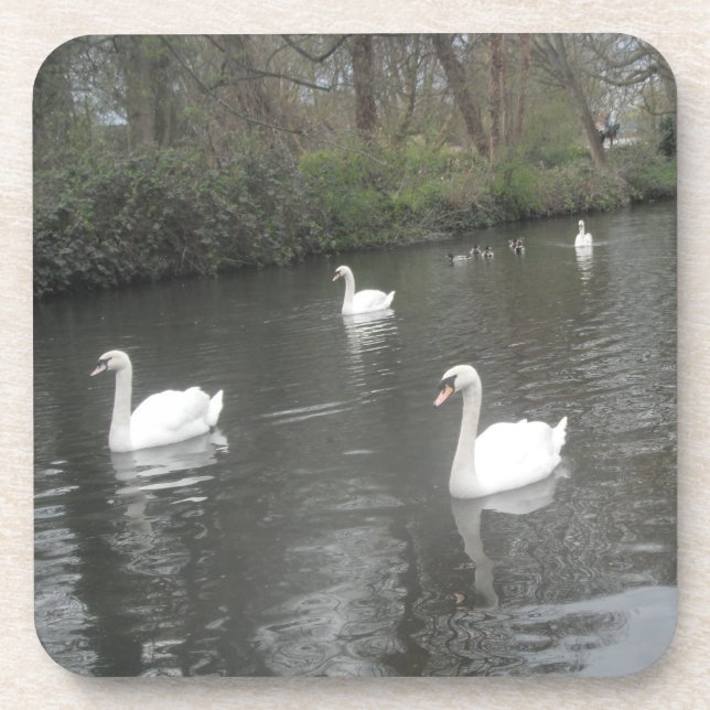 Porta-copo Rio Swans de Portas copos de Cork (Frente)
