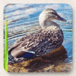 Porta-copo Ripples de Discagem