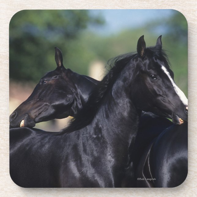 Porta-copo Risco árabe do cavalo (Frente)