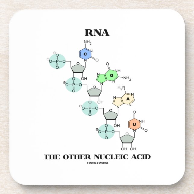 Porta-copo RNA o outro ácido nucleico (estrutura química) (Frente)