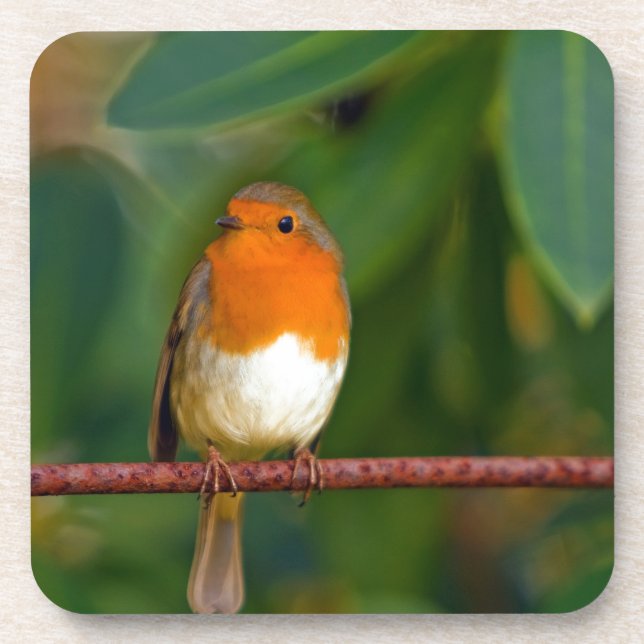 Porta-copo Robin Natal (Frente)